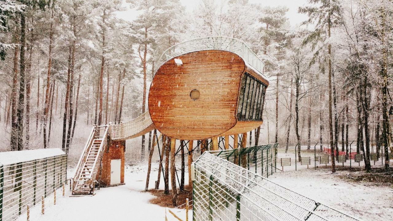 Tree Inn - Das Baumhaushotel Doerverden Exterior photo